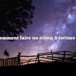 Question : Comment faire un étang à tortues bon marché